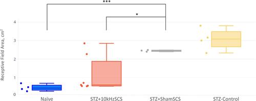 Figure 4 Receptive field size of plantar surface of left hind paw for each experimental group. * p < 0.05; *** p < 0.001.