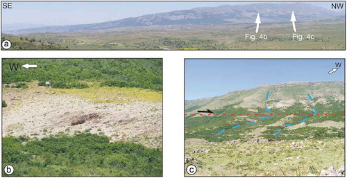 Figure 4. (a) View towards the SW of the Toklular cuesta. The slope direction of the escarpment that bounds the cuesta is towards the east, which is opposite to the west-dipping lithologies shown in (b). The systematic river offset in (c) along the western part of the escarpment of the Toklular cuesta reflects dextral oblique normal fault slip along the westernmost part of the fault before the fault changes its strike towards southeast.