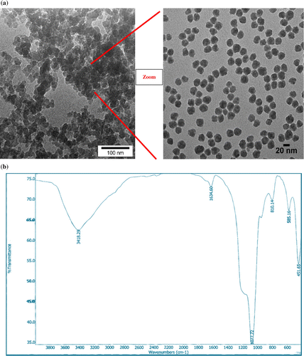 Figure 1 TEM image (a) and FT-IR (b) of Nanosilica -SO3H