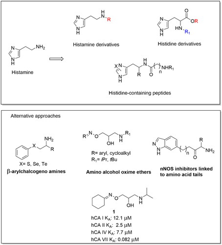 Figure 1. General structures of some reported CAAs.