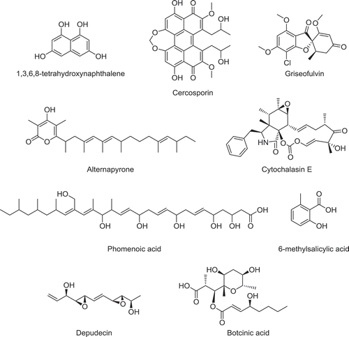 Figure 3. Polyketide compounds synthesized by putative homologues of Parastagonospora nodorum PKSs.