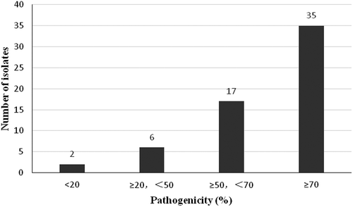 Fig. 3. Pathogenicity of 60 M. oryzae isolates to R genes. Fifty-two isolates were strongly or relatively strongly pathogenic. Six isolates were moderately pathogenic, while two isolates were weakly pathogenic.