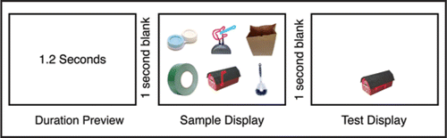 Figure 1 A screen initially displayed the duration the objects would be present for. This was followed by a brief blank, and then the six objects were presented. Afterwards, there was another brief blank and then a test object. Observers had to say whether the test object was the same or different than the object previously presented at that location.