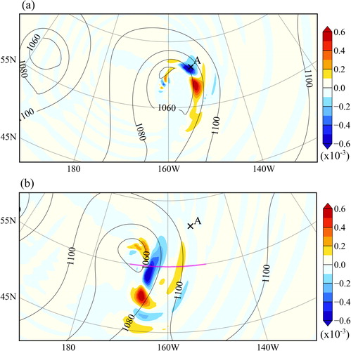 Fig. 8. Relative sensitivities of the surface pressure at point A at 0000 UTC of day 9 (see Fig. 3a) to the ρ field at the surface level at (a) 1200 UTC and (b) 0000 UTC of day 8 (shaded in colour, ×10–3). Black contours show the surface pressures at 1200 UTC and 0000 UTC of day 8 in (a) and (b), respectively.