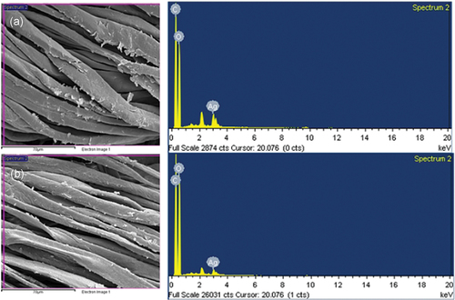 Figure 7. EDX spectroscopy of (A) CE100 and (B) CE100-30W.