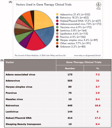 Figure 1. Viral and non-viral vectors in currently running gene therapy clinical trials. A) Percent contribution of different vector systems of currently running clinical trials. B) List of some of the most popular vector systems employed in clinical trials. The list also contains the currently running trials with the Sleeping Beauty transposon (see colour version of this figure at www.tandfonline.com/ibmg).