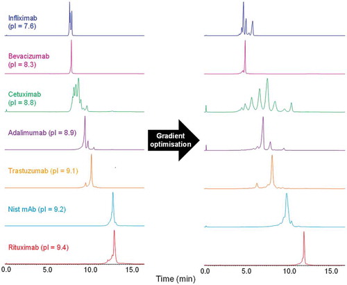 Figure 2. A.) Charge variant separation of seven monoclonal antibodies using a gradient from 0–100% buffer B in 10 min. B.) Charge variant separation after individual gradient optimisation. Instrument settings and gradients used for all mAbs are provided in the methods section.