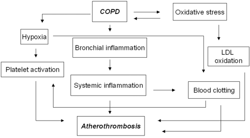 Figure 1 The COPD-atherothrombosis network.