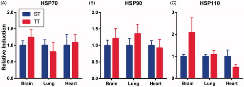 Figure 2. Housing mice at TT does not significantly alter baseline expression of HSPs. Brain, lung, and heart expression of (A) total Hsp70 (B) Hsp90 (C) Hsp110 of mice housed for 14 days at ST and TT. No statistically significant differences by Student’s t-test. n = 3–4/experiment, experiments were performed twice and data were combined.