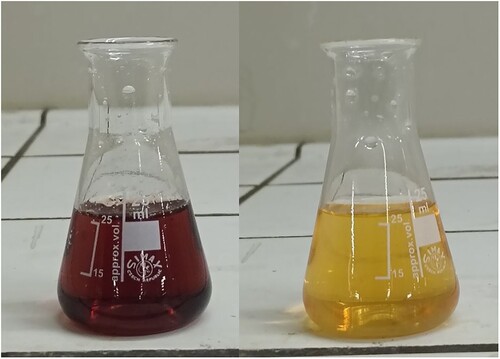 Figure 2. Tincture of Brazil before and after adding nitric acid. © G. Montanari.