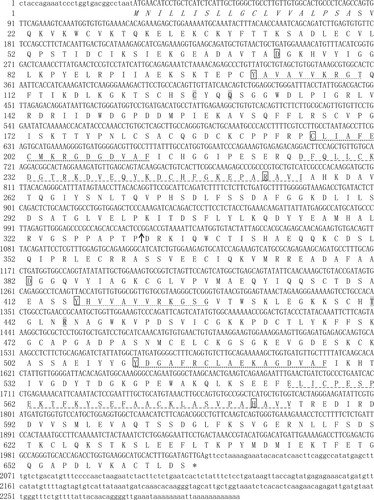 Figure 1. The mRNA and predicted amino acid sequence of Leuciscus waleckii transferrin (abbreviated as LwTf). The nucleotides and amino acids are indicated in the upper and lower row, respectively. The signal peptide sequence is in italics. The regions of the N-lobe and the C-lobe are indicated by an arrow. The four iron-binding sites in each lobe of transferrin are indicated by the panes, and the two anion sites in each lobe are shaded. The characteristic transferrin motifs are underlined as follows: transferrin signature 1, transferrin signature 2, and transferrin signature 3.