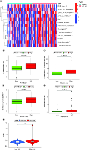 Figure 6. Characterization of immune infiltration in high- and low-risk GBM patients.(A) Correlation analysis among each immune cell proportions in GBM. (B–E) Sensitivity analysis between the high-risk and low-risk groups for four drugs: carmustine, KRAS(G12C), cyclophosphamidec, and vincristine. (F) Tumor immune dysfunction and exclusion (TIDE) analysis between the high-risk and low-risk groups.