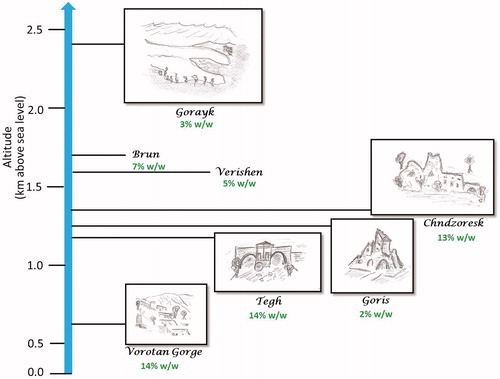 Figure 1. The influence of altitude on antioxidant capacity of the plants from the Lamiaceae family (sketch was provided by prof. C. Jacob).