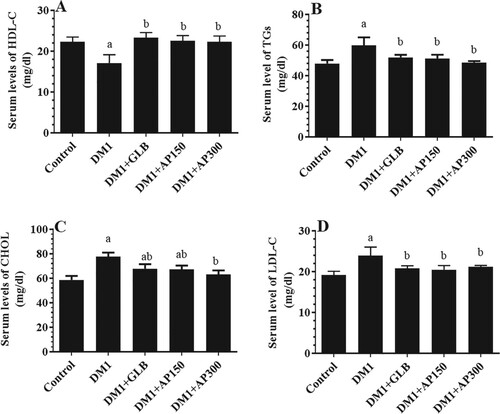 Figure 2. Serum levels of high-density lipoprotein cholesterol (HDL-C) (A), total triglycerides (TGs) (B), total cholesterol (CHOL) (C), and low-density lipoprotein cholesterol (LDL-C) (D) in all experimental groups of rats. Data are expressed as mean ± SD (n=10). Values were considered significantly different at p < 0.05. a: significantly different as compared to control non-diabetic rats. b: significantly different as compared to streptozotocin-induced diabetic rats (DM1). GLB: Glimepiride. AP150: Aloe perryi (150 mg/Kg). AP300: Aloe perryi (AP) (300 mg/Kg).