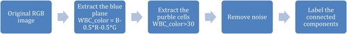 Figure 6. Steps of extracting the WBCs.