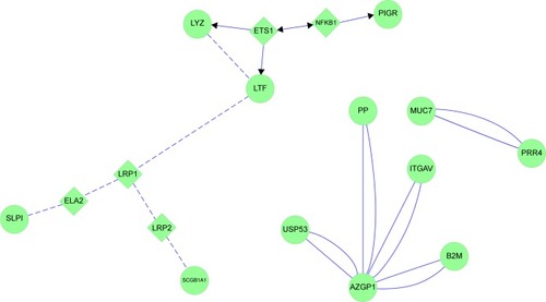 Figure 13 Cytoscape network analysis for nonsmokers.