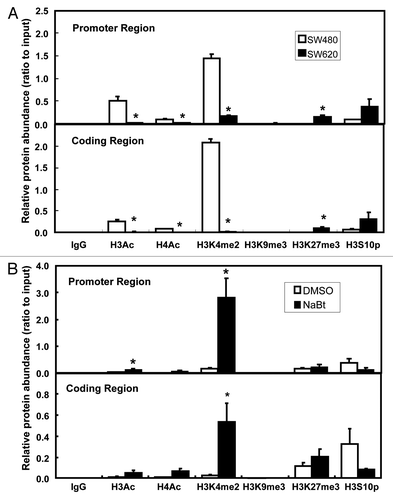 Figure 3. ChIP analysis of chromatin modifications in SW480 and SW620. (A) Histone modifications at the promoter region (-96/-22, upper panel) and coding region (+6424/+6495, lower panel) of human Wnt5a in SW480 and SW620 (n = 3). Data are normalized to the input DNA. The values are presented as the mean ± SEM *p < 0.05 indicates statistical significance compared with SW480. (B) Histone modifications at the promoter region (-96/-22, upper panel) and coding region (+6424/+6495, lower panel) of human Wnt5a in SW620 after NaBt treatment (5 mmol/L) for 48 h (n = 3). Data are normalized to the input DNA. The values are presented as the mean ± SEM *p < 0.05 when comparing to the non-treated SW620 control group.