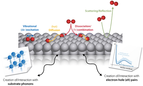 Figure 1. Various elementary processes in the context of GSD. An impinging molecule may, for instance, be directly reflected from the metal substrate, nevertheless exchanging energy and momentum with the surface. It may, however, as well dissociate on the surface – potentially through a vibrational precursor state – with the excess kinetic energy leading to hyperthermal motion of the fragments, so-called ‘hot diffusion’. In all of these processes, energy exchange with the metal occurring either through the excitation of lattice vibrations (phonons) or non-adiabatic electron–hole (eh)-pairs may significantly influence the resulting dynamics.