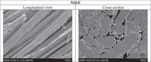 Figure 3. Microphotographs - longitudinal views and cross sections of Nike flax fibre.