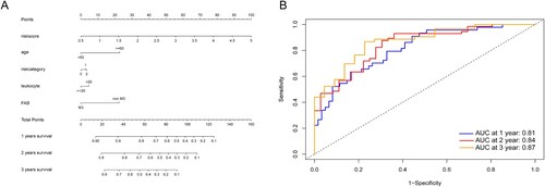 Figure 7. (A) Nomogram predicting 1-, 2- and 3-year OS for the AML patients. Leukocyte: <20, counts less than 20 × 109/L; ≥20, counts equal to or more than 20 × 109/L, risk category: 0, Favorable; 1, Intermediate; 2, Poor. (B) Time-dependent ROC curves of the nomogram points for 1-, 2- and 3-year overall survival.