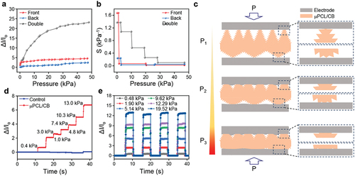 Figure 3. Electrical response and mechanism of the μPCL/CB sensing sheet. Different sensors are assembled by attaching μPCL/CB front (front), back (back) and double (double) faces to electrodes, respectively. (a) Relative current curves. (b) Sensitivity. (c) Scheme illustrating changes of the surface hierarchitecture of μPCL/CB in response to different applied loadings. (d) Relative current curves of the sensors based on μPCL/CB and cPCL/CB in response to different pressures. (e) Responsive repeatability of the μPCL/CB sensor at different pressure loadings.