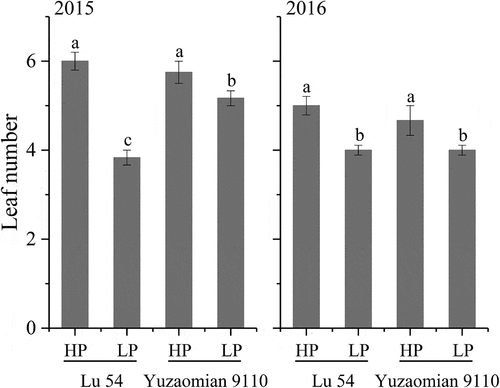 Figure 3. Leaf number of Lu 54 and Yuzaomian 9110 under 0.01 mM (LP) and 1 mM KH2PO4 (HP) levels at the seedling stage in 2015 and 2016. The different letters from each year are significantly different at P = 0.05. Each value denotes the mean of three replications.
