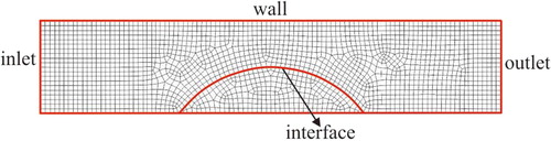 Figure 2. Meshing of the calculation domain.