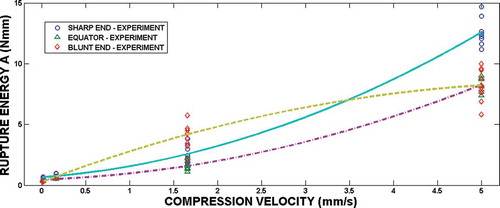 FIGURE 5 The influence of the compression velocity on work absorbed up to the eggshell rupture.