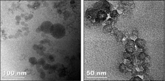 FIGURE 5. TEM micrographs of (a) FeSi furnace fumes with a geometric mean aerodynamic diameter of 0.07 μm and (b) SiMn furnace fumes with a geometric mean aerodynamic diameter of 0.04 μm