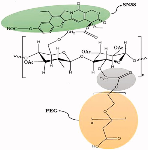 Figure 1. Chemical structure of PEG-AcCMC-SN38.