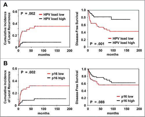 Figure 3. Prognostic impact of (A) HPV viral load and (B) p16 expression on cumulative incidence of local recurrence and disease-free survival, as indicated. Analysis was based on the dichotomized total score in patient tumor samples (cut-off according to median value).