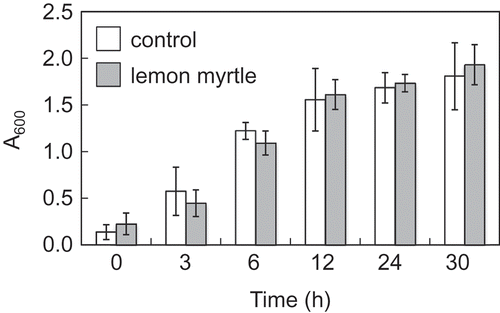 Figure 1. Effect of herbal tea extracts on S. mutans growth.S. mutans was grown in 50 mL of brain heart infusion broth supplemented with 255 mg herbal tea extracts (final concentration was 5 mg mL−1) at 37°C for 30 h. The growth of S. mutans was quantified by measuring the optical density at 600 nm. All data are expressed as the mean ± SD (n = 6).