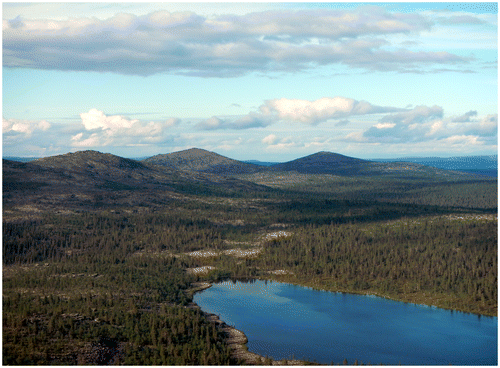 Figure 2. Iconic Nattaset fjell landscape outside Vuotso (Photograph: Oula Seitsonen).