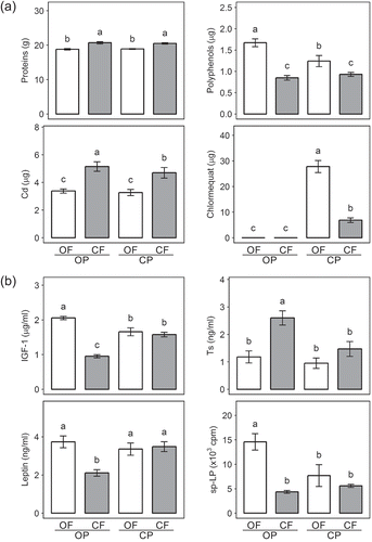 Figure 1. Effect of organic crop protection (OP) or conventional crop protection (CP), and organic fertility management (OF) or conventional fertility management (CF), on (1) the concentration of protein, polyphenols, cadmium, and chlormequat in 100 g of experimental animal feed, and (2) plasma insulin-like growth factor 1 (IGF-1), testosterone (Ts), leptin and spontaneous lymphocyte proliferation (sp-LP) in Wistar rats fed with these feeds. Results shown as means ±SEM of (1) n = 4 field replications, or (2) n = 24 animals; different letters above bars indicate significant difference (P < 0.05) determined by Tukey’s HSD test. Data from paper by Średnicka-Tober et al. [Citation26], with the permission from authors.