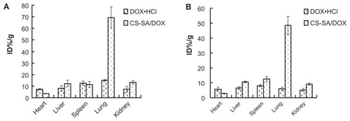 Figure 8 Tissue distribution at 0.5 and 2 hours after intravenous injection of doxorubicin-loaded stearic acid–grafted chitosan (CS-SA/DOX) and DOX · hydrochloride (DOX · HCl).Note: Data represent the mean ± standard deviation. n = 3.