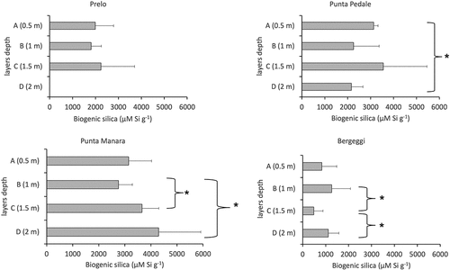 Figure 3. Average values of biogenic silica (µMSi·g−1) along the matte profile in the four investigated P. oceanica meadows. * p < 0.05.