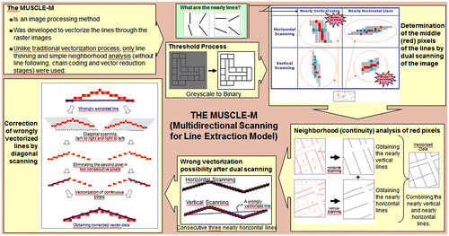 Figure 1. MUSCLE model process.