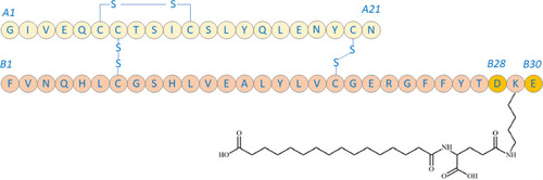 Figure 1 Structure of INS061.