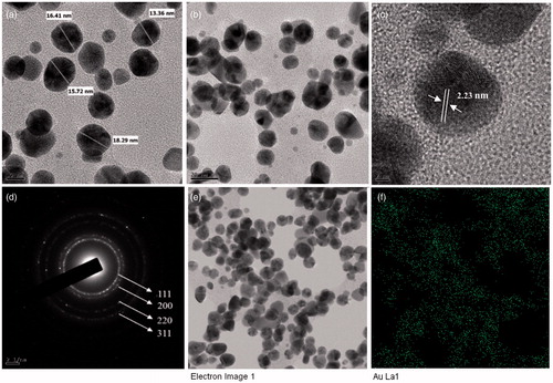 Figure 2. FE-TEM image of gold nanoparticles, 10 nm (a) and 20 nm (b). Fringe spacing of gold nanoparticles (c) and the corresponding SEAD image (d). Elemental mapping results indicate TEM micrograph of gold nanoparticles pellet solution (e) and gold nanoparticles; green, (f) respectively.