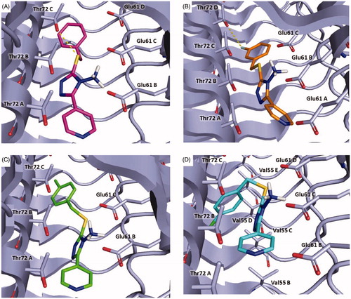 Figure 8. Plausible binding modes for compound 5 (magenta stick, panel A), 8 (orange stick, panel B), 9 (green stick, panel C) and 11 (cyan stick, panel D). The interacting residues of the binding site are represented as light blues stick. The images are created by PyMOL software (https://pymol.org).