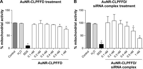 Figure 3 Effect of AuNR-CLPFFD and AuNR-CLPFFD/siRNA complexes on PC12 cell viability.Notes: PC12 cells were treated with increasing concentrations of (A) AuNR-CLPFFD and (B) AuNR-CLPFFD/siRNA complexes for 24 hours. The MTS assay shows decreased mitochondrial activity only in the cells that were treated with the highest concentrations (0.5–1 nM) of the compounds. Comparisons were analyzed using Student’s t-test (*P<0.05 compared to the control; n=6 for the respective experimental groups).Abbreviations: AuNR, gold nanorod; MTS, 3-(4,5-Dimethylthiazol-2-yl)-5-(3-carboxymethoxyphenyl)-2-(4-sulfophenyl)-2H-tetrazolium.