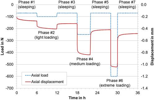 Figure 2 Mean displacement curves of all tested samples (red, solid line) with maximum load in N (blue dashed lines) during creep testing.