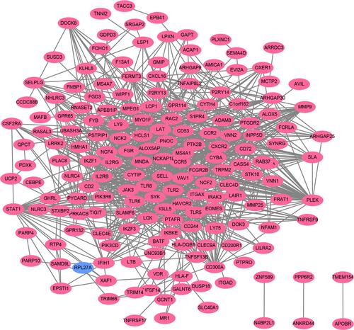 Figure 4 Based on database STRING and Cytoscape software, PPI networks of the DEGs were constructed. The red point represents upregulated genes, and blue point represents downregulated genes.