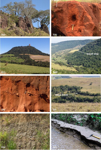 Figure 3. (a) Ruiniform landforms of the São Pedro ridge bottom. (b) Sandy coverture on glacis. (c) Pedra de Torrinha isolated hill. (d) Basalt step in the escarpment. (e) Stone lines in the sandy coverture of the glacis. (f) Slope break in convex-shaped watershed of the glacis. (g) Coarse fluvial sediments of higher fluvial terrace (T1) of the Piracicaba river. (h) Sandy fluvial bar in Piracicaba river tributary. Source: Authors of the photos: Marcos Roberto Pinheiro and Marisa de Souto Matos Fierz.