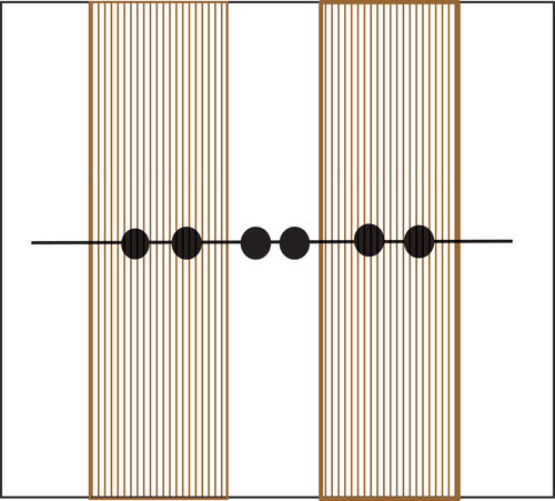 Figure 4. Locations for mechanical resistance readings within a lane.