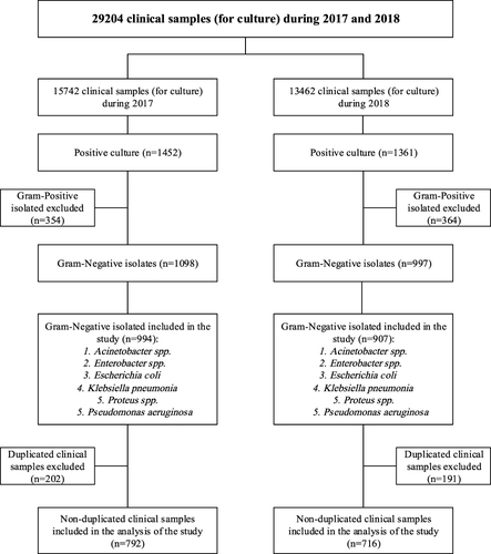 Figure 1 Flowchart for study design including inclusion/exclusion criteria of isolates.