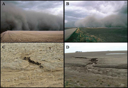 Fig. 1. (Colour online) Clouds of dust produced by wind erosion (A, B) and gulleys formed by water erosion (C, D) in commercial fields on the Canadian prairies (photos courtesy of H. de Gooier (A, B) and J. Schoenau (C, D), University of Saskatchewan, Saskatoon, SK).