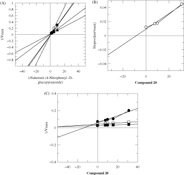 Figure 4. The inhibition of α-glucosidase enzyme by compound 20 (A) is the Lineweaver–Burk plot of reciprocal of rate of reaction (velocities) versus reciprocal of substrate (p-nitrophenyl α-d-glucopyranoside) in the absence of inhibitor and in the presence of 31.25 μM (○), 25  μM (•), 15 μM (□), 10 μM (▪) and 7.8 μM (Δ) of compound 20. (B) Is the secondary re-plot of Lineweaver–Burk plot between the slopes of each line on Lineweaver–Burk plot versus different concentrations of compound 20, (C) is the Dixon plot of reciprocal of rate of reaction (velocities) versus different concentrations of compound 20.