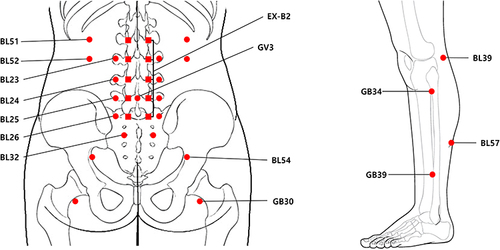 Figure 1 Acupoints Used in Pharmacopuncture Therapy.