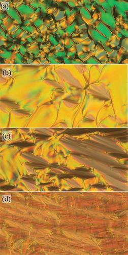 Figure 4. (Colour online) Textures of the studied compound OX10/6, obtained from POM: (a) at the isotropic-TGBA phase transition at T = 149°C, (b) in the TGBA phase at T = 147°C, (c) in the TGBA phase at T = 143°C and (d) in the SmC* phase at T = 138°C. The width of the photos corresponds to about 300 µm.